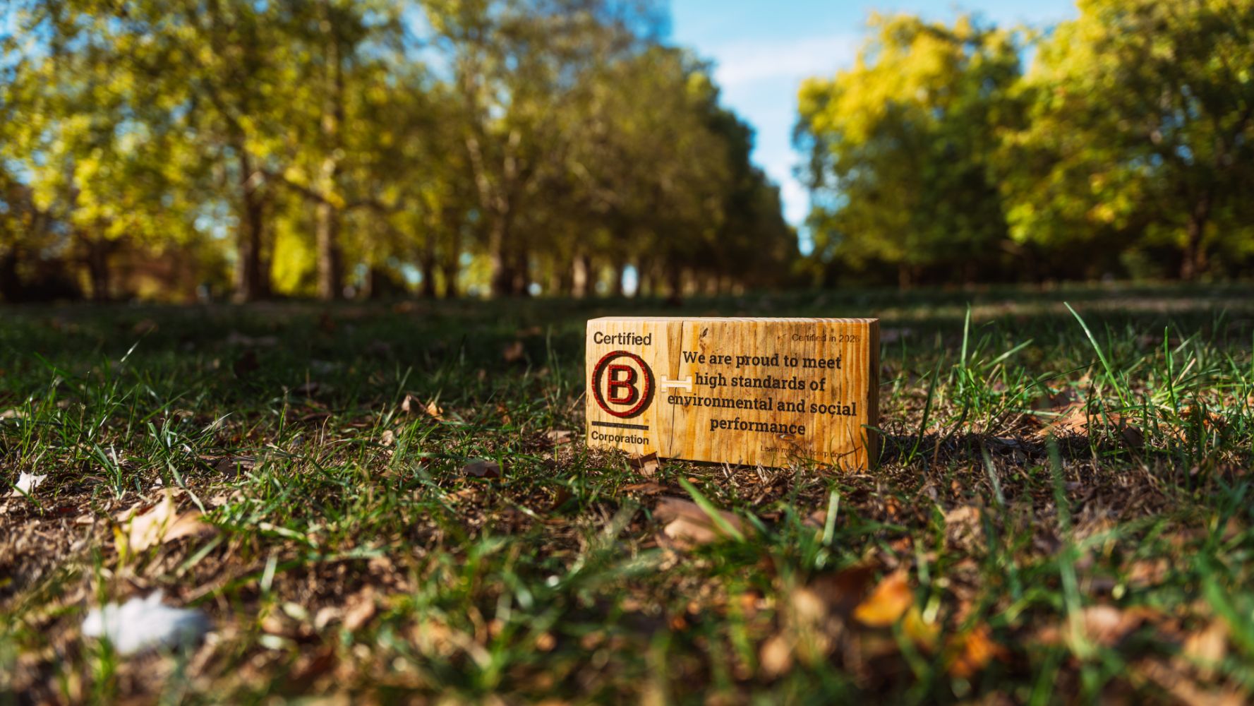Sledge and SWM Partners Bolster Purpose-Driven Model with B Corp Certification